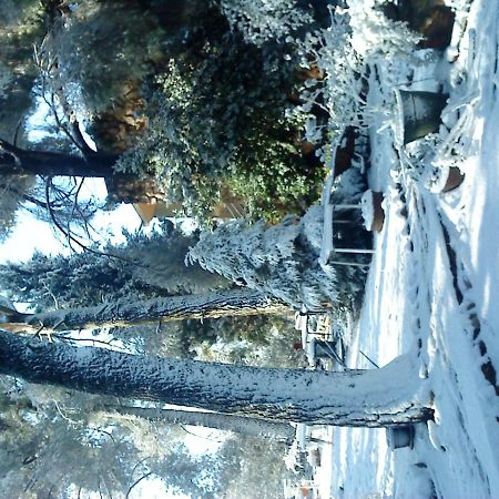Safed Inn Luaran gambar