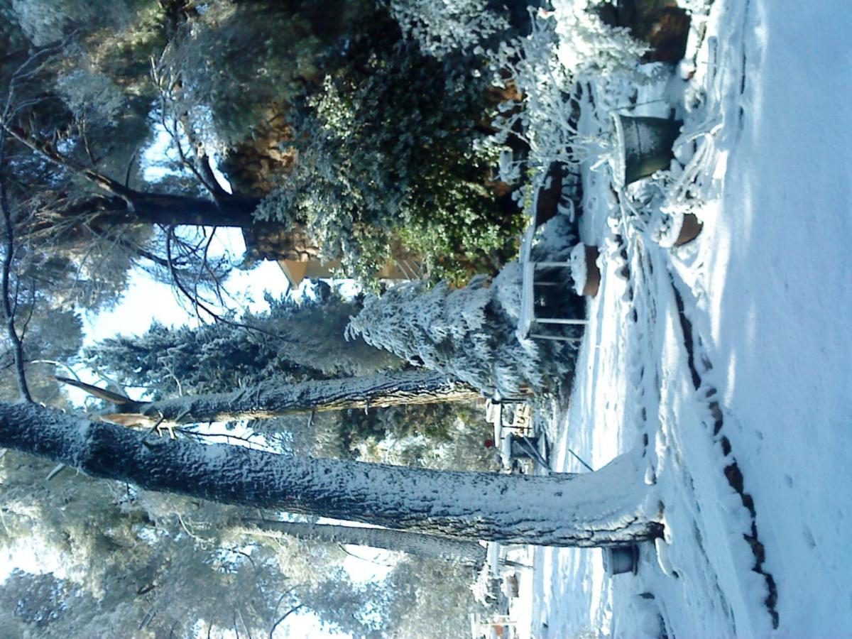 Safed Inn Luaran gambar
